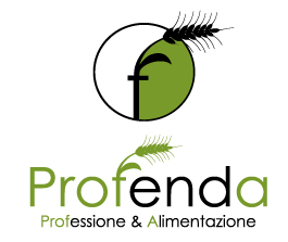 logo-profenda