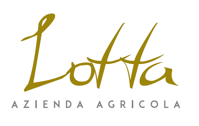 logo-lotta